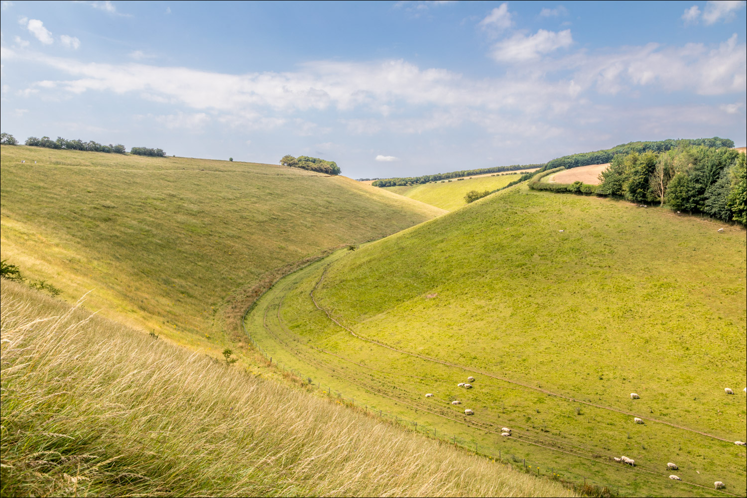 Horse Dale Huggate countryside